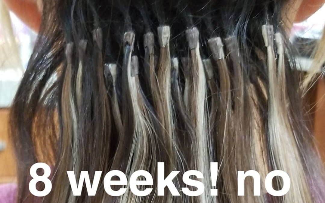Extensions12